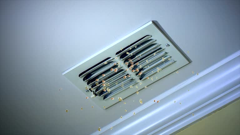 Emergency Air Duct Cleaning in FL