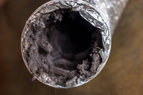 Best Emergency Air Duct Cleaning  in Virginia Gardens, FL