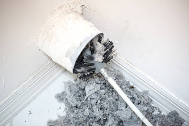 Best Ductwork Cleaning Services  in Virginia Gardens, FL